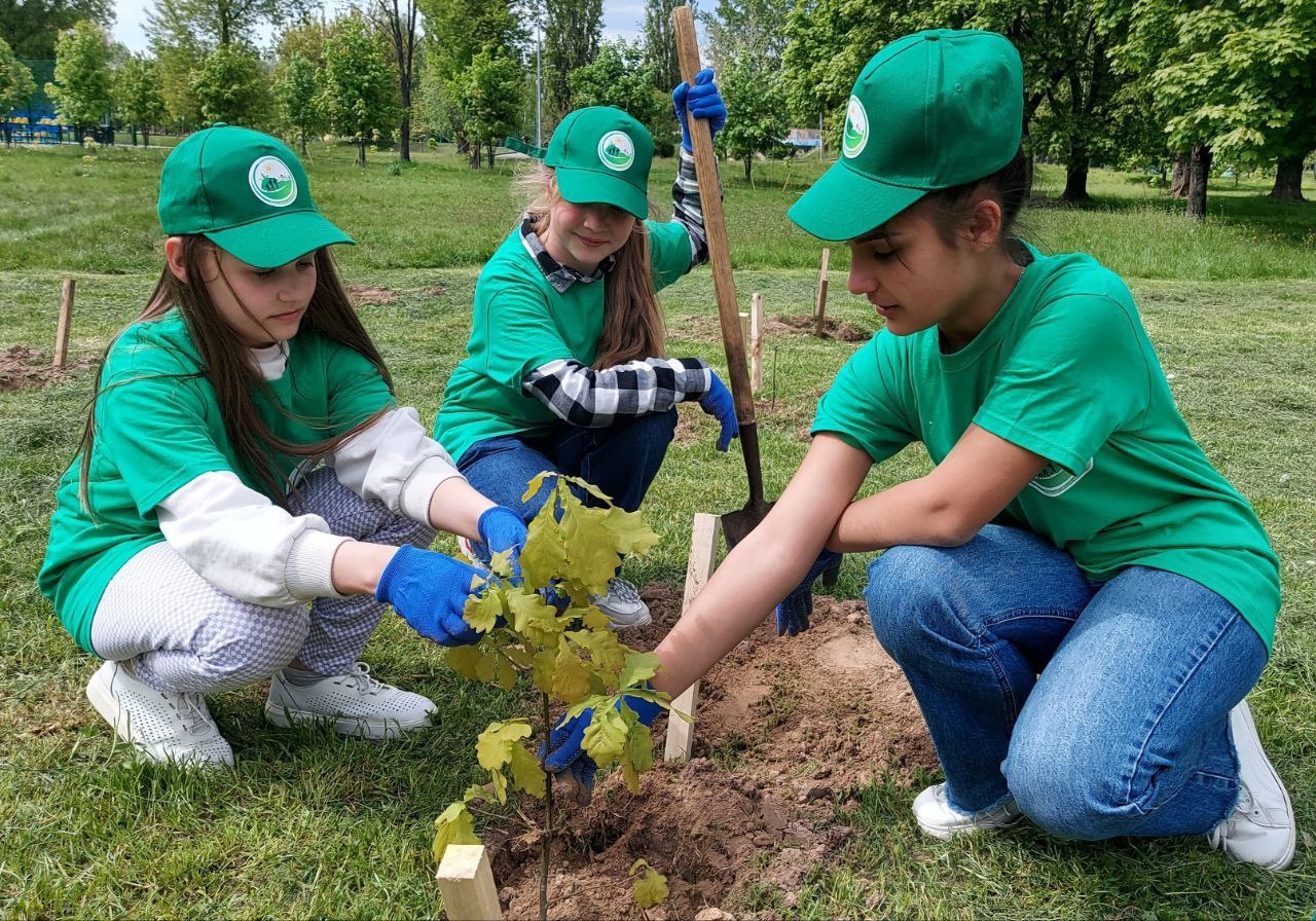 Догляд за лісом