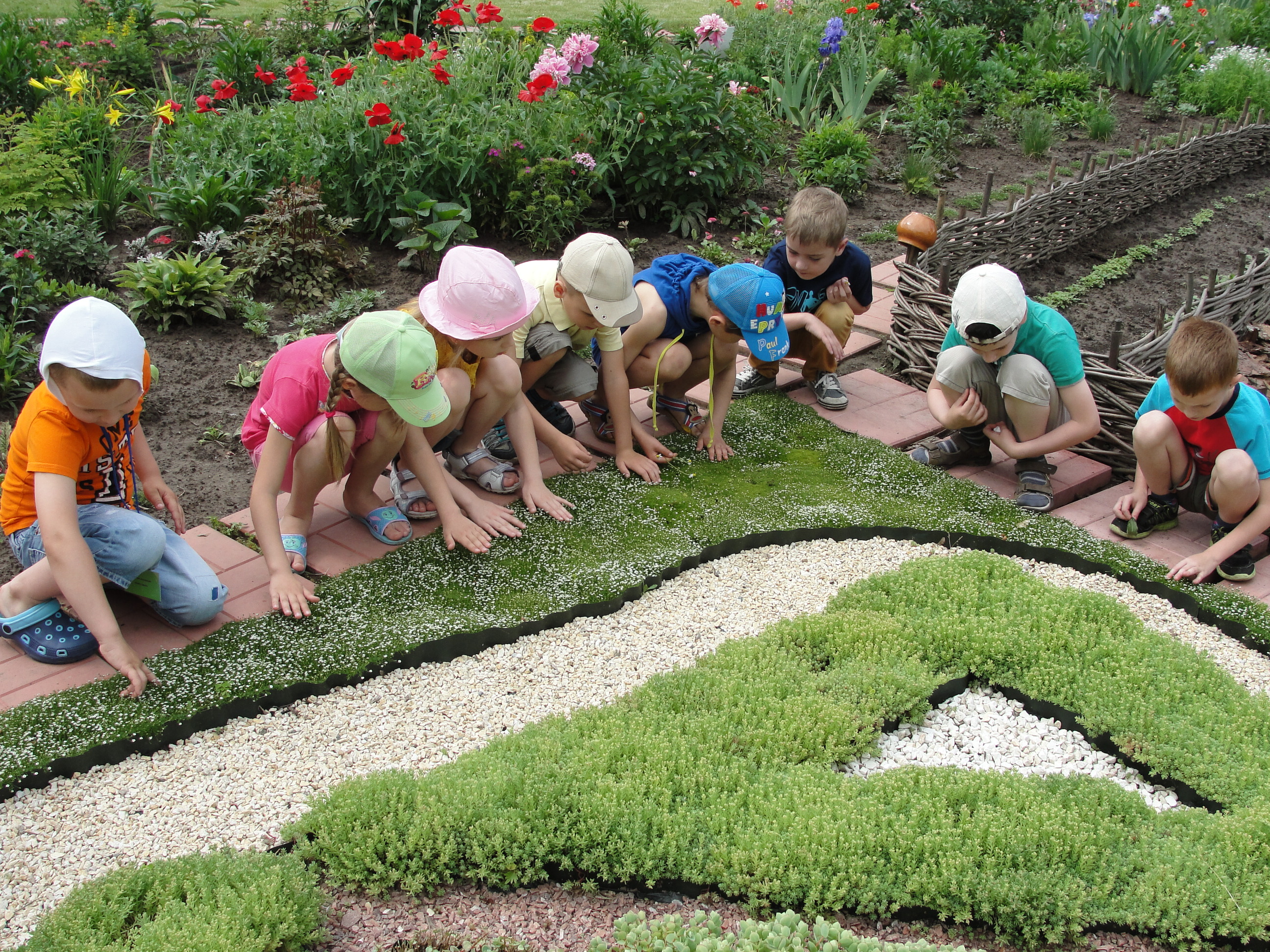 Вирощування рослин