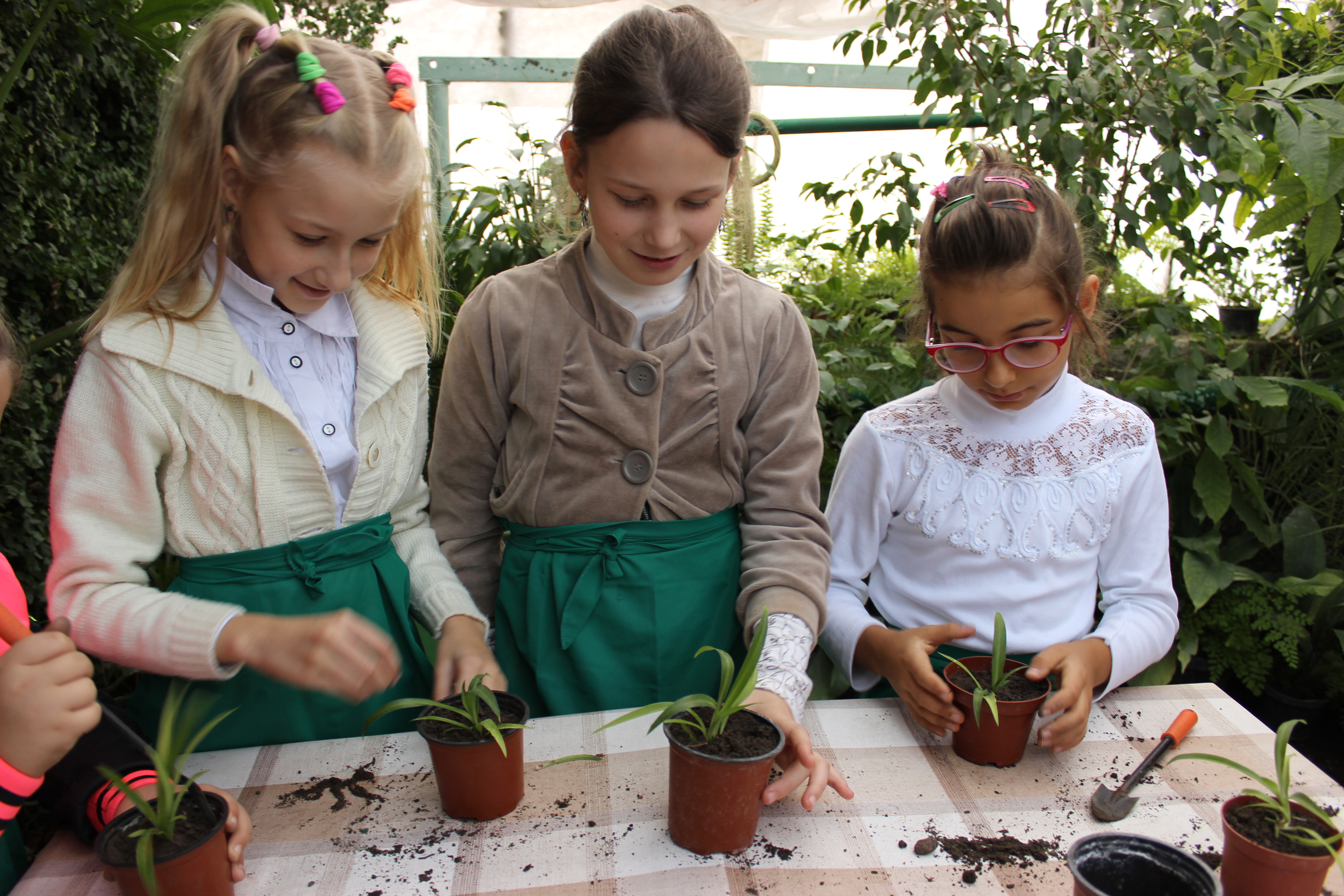 Флористична мозаїка