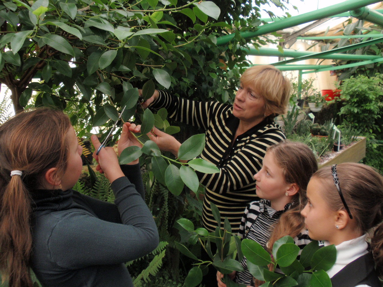 Флористична мозаїка