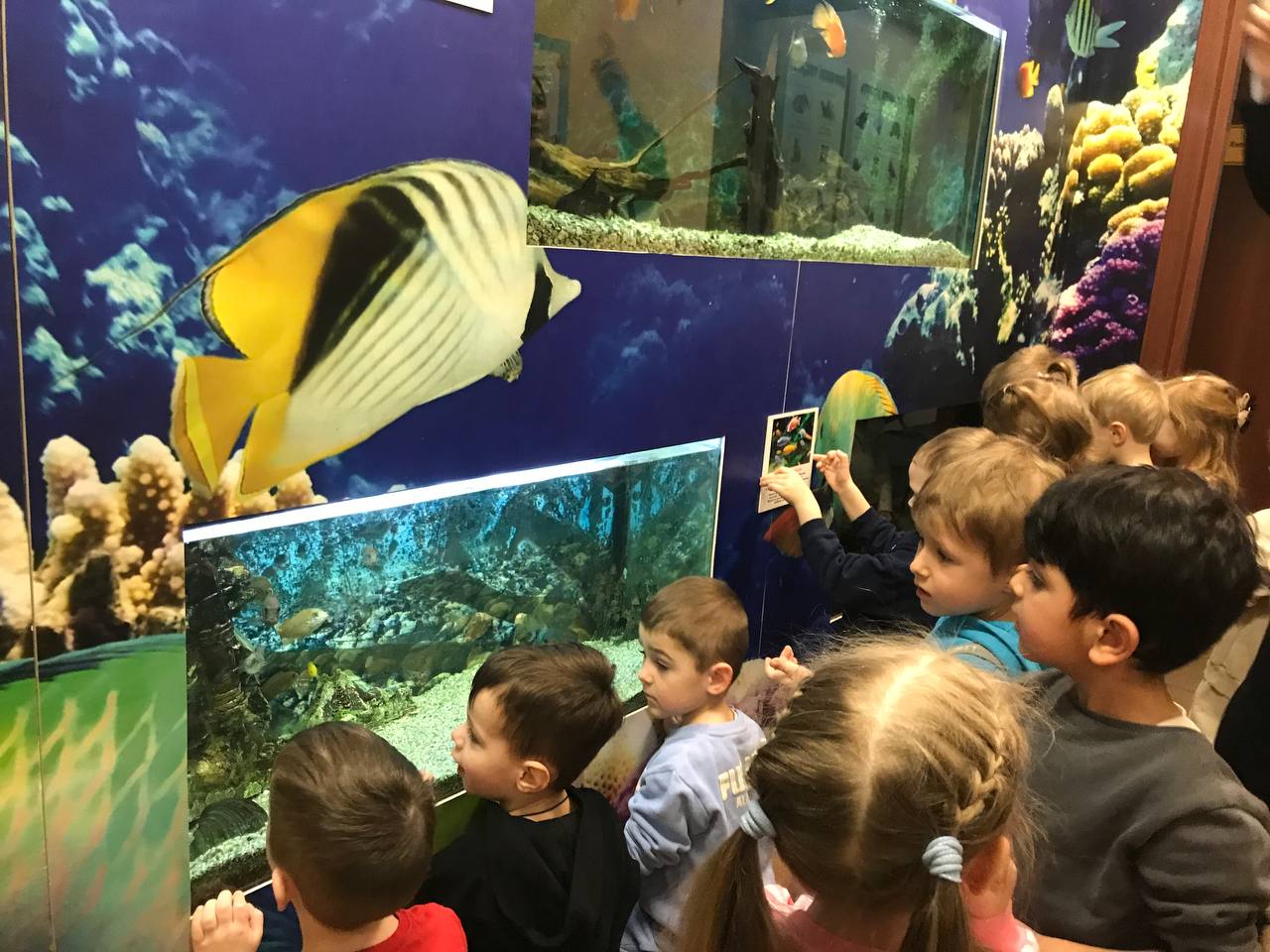 Догляд за тваринами