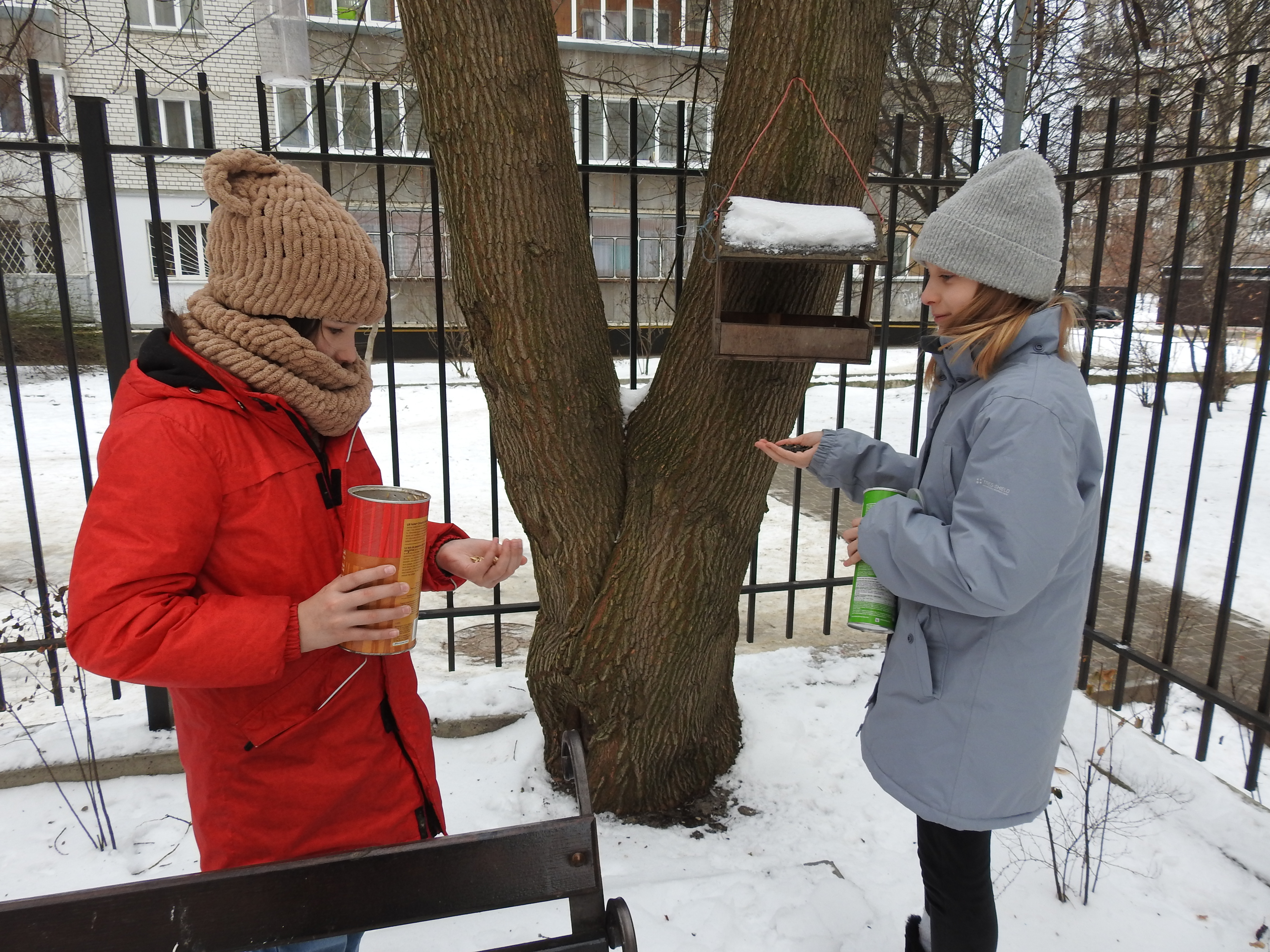 Зимова підгодівля