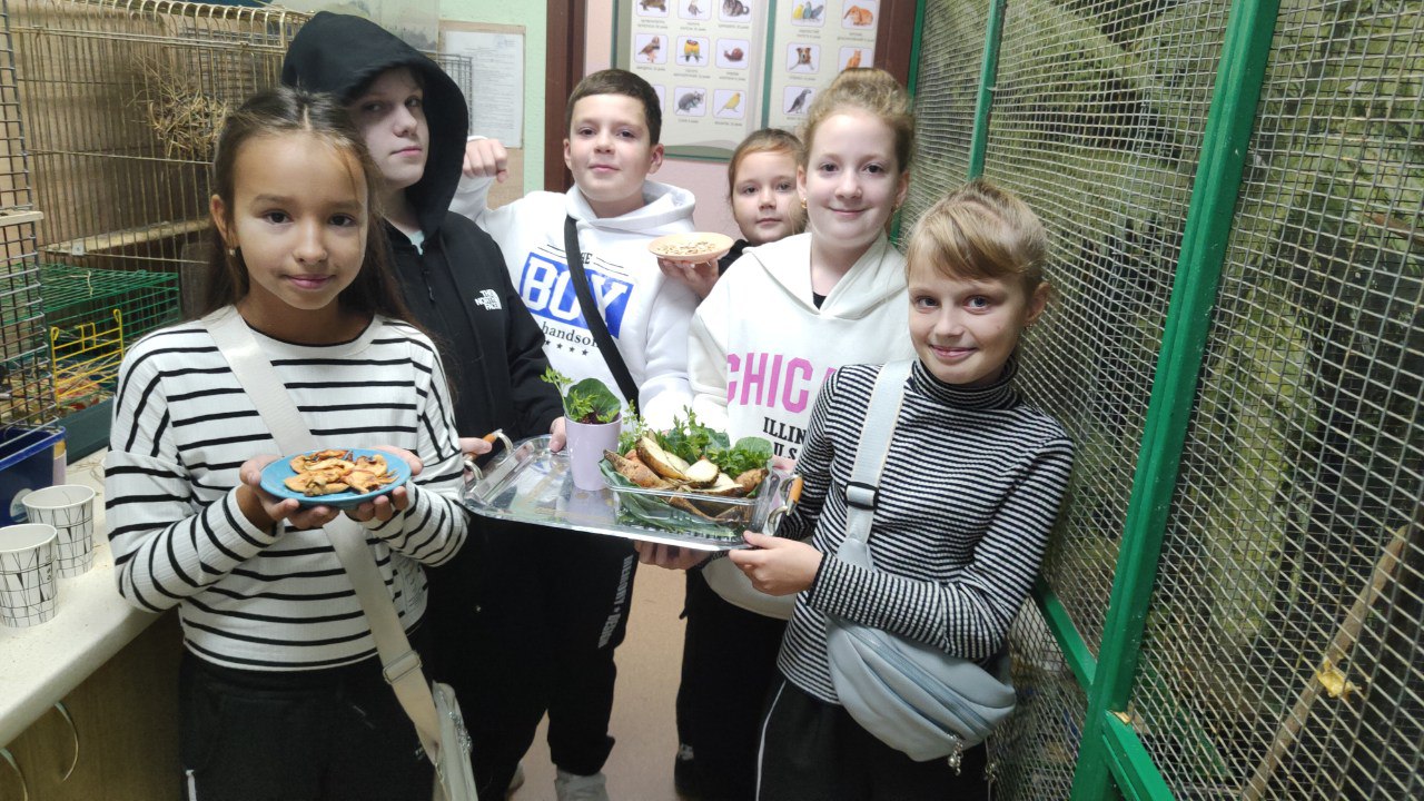 Корм тваринам